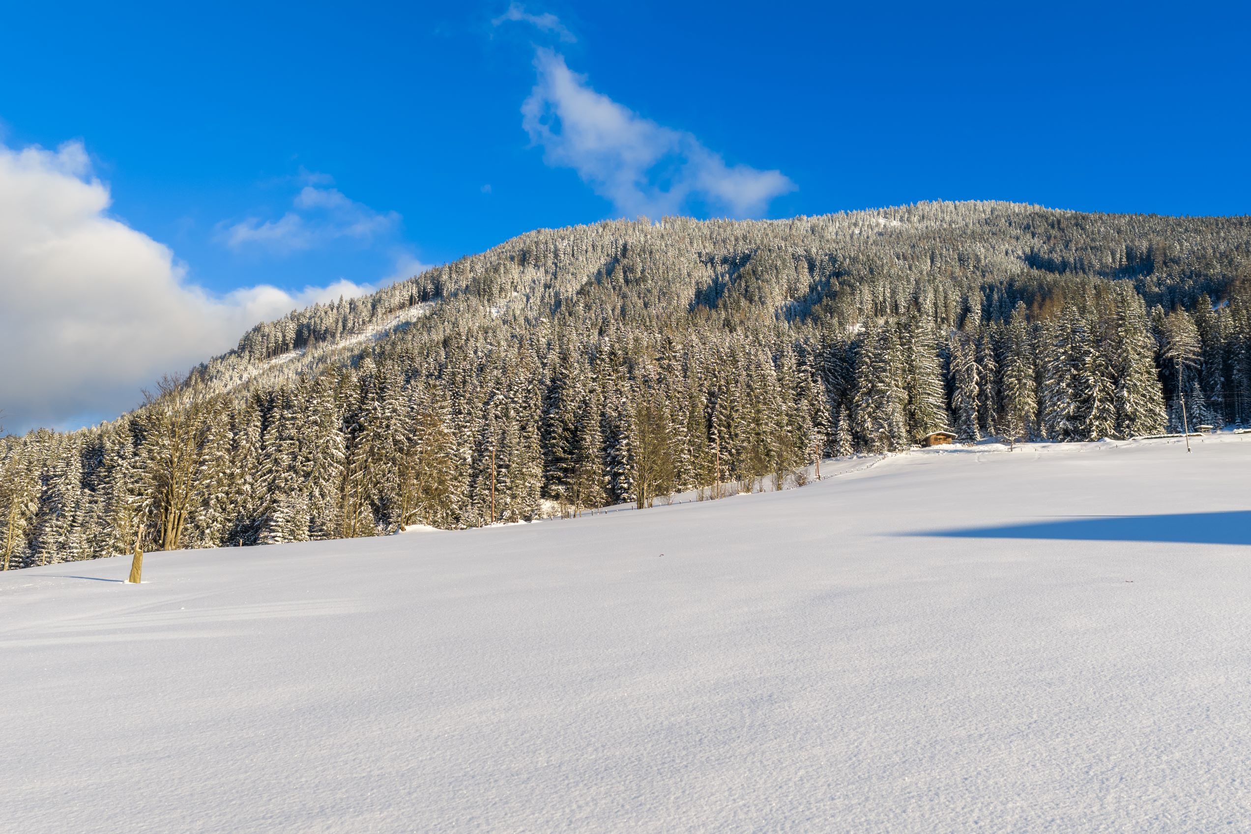 Winterurlaub im Haus Elisabeth mit Zimmern und Appartements im Lammertal im Skigebiet Dachstein West