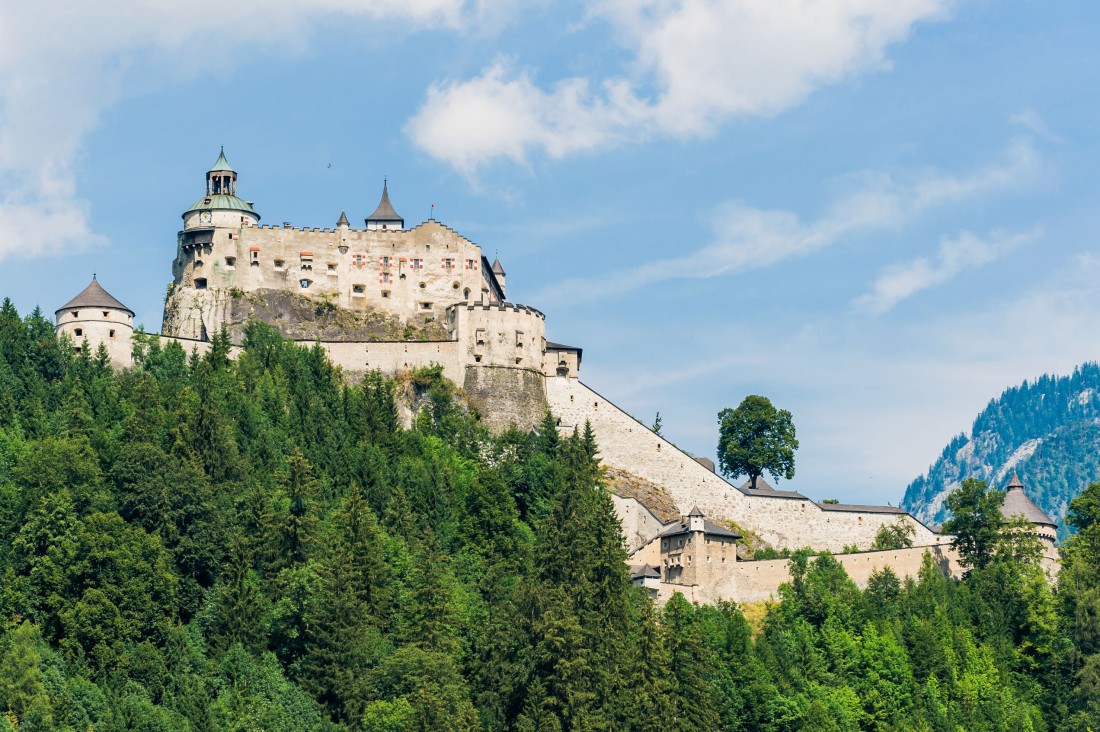 Burg Hohenwerfen mit Landesfalknereimuseum und Greifvogelschau  © Shutterstock