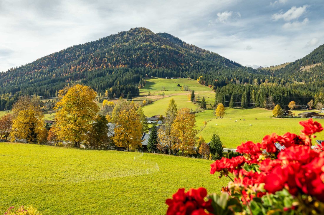 Ausblick vom Balkon in den Garten