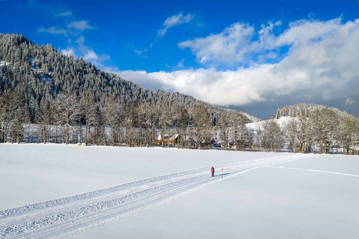 Langlaufurlaub im Lammertal 