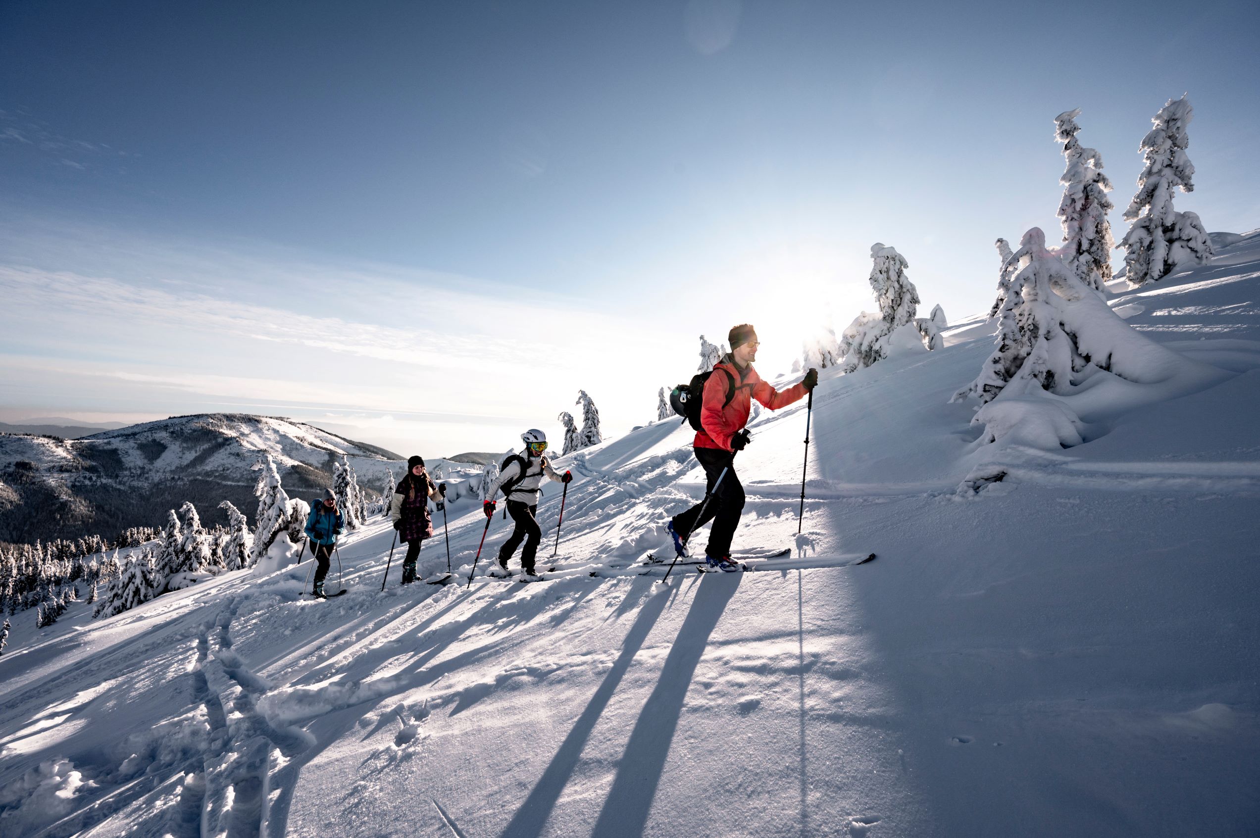 Skitouren gehen, Winterwandern und Schneeschuhwandern im Lammertal  © Shutterstock